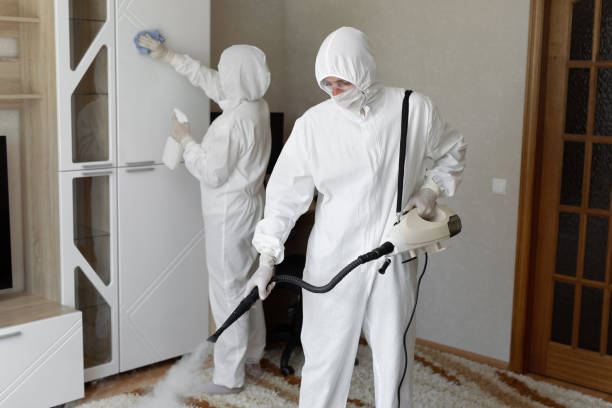 Mold Removal Process in Athens, TN