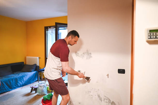 Best Commercial Mold Removal  in Athens, TN